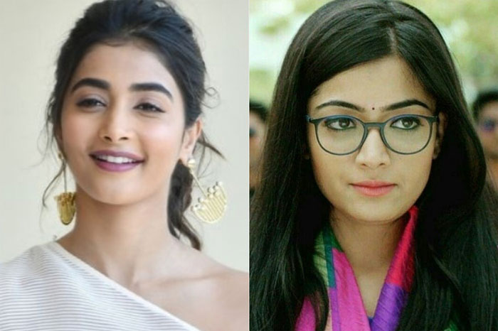 pooja hegde,rashmika mandanna,ntr,trivikram srinivas,next movie,heroine  ఎన్టీఆర్, త్రివిక్రమ్.. ఈసారి హీరోయిన్ ఎవరో?