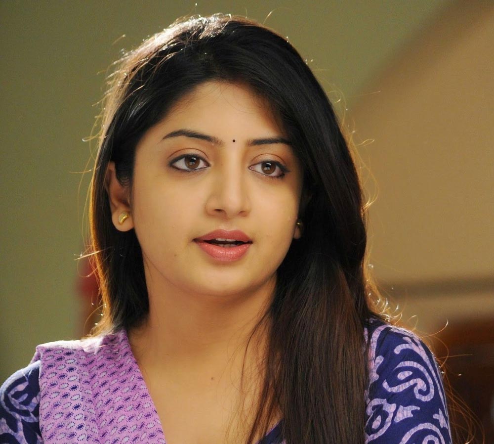 poonam kaur,poonam targets the politicians,ycp fans  వైసిపి అభిమాని ట్వీట్ - పూనమ్ కౌంటర్ 