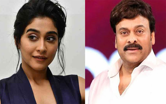 regina,rejected,megastar,chiranjeevi,koratala siva,new movie  చిరు సరసన ఆ భామ చేయనందా?