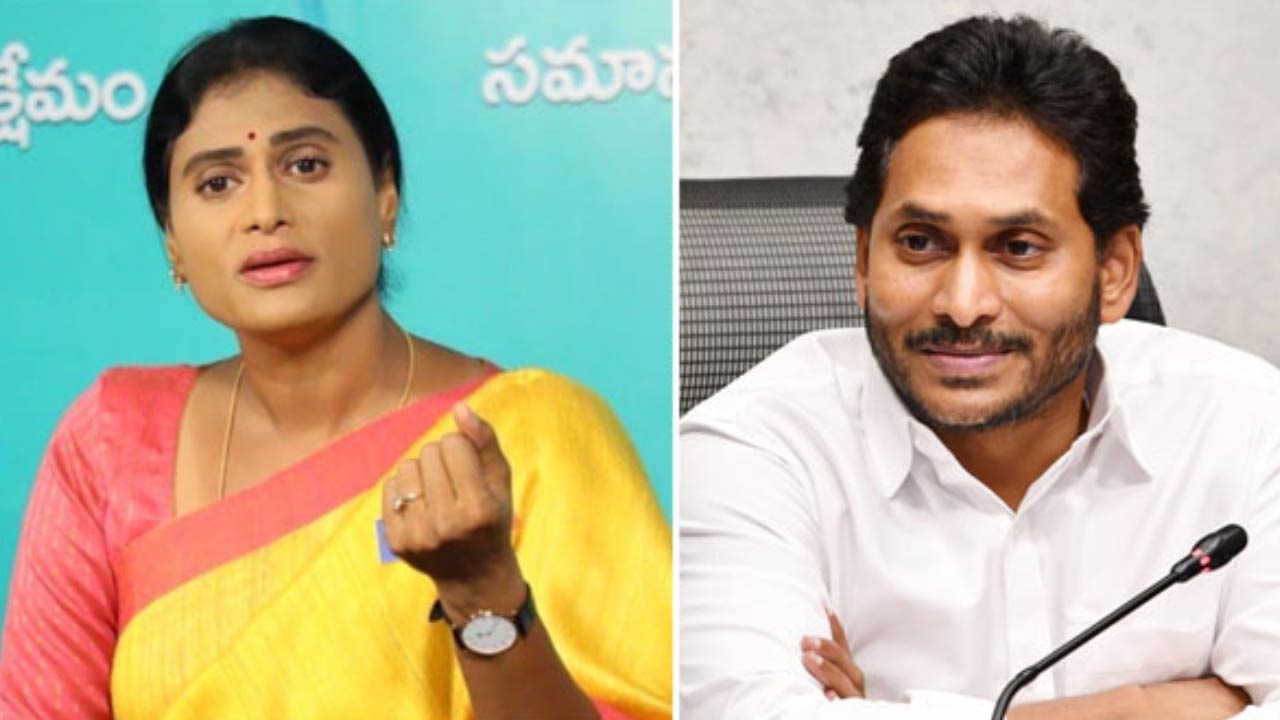 sharmila!  షర్మిలకు వైఎస్ జగన్ బంపరాఫర్!